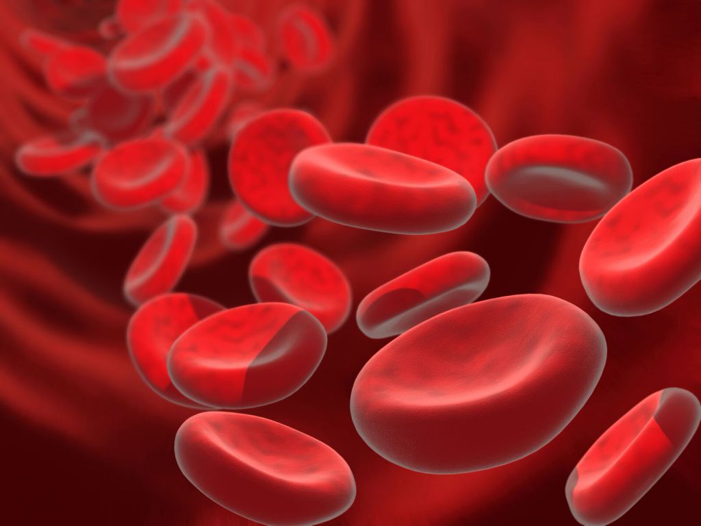 CtLupus's tweet photo. Lupus and Blood Clots https://t.co/9O7JG6uRfg https://t.co/KNNnfDteFi