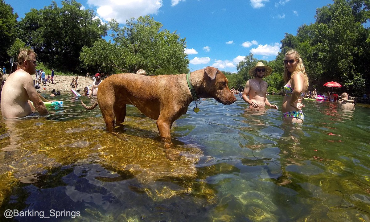Discover Barking Springs, below <a href="/Barton_Springs/">Barton Springs Pool</a>, with your K9 companion.