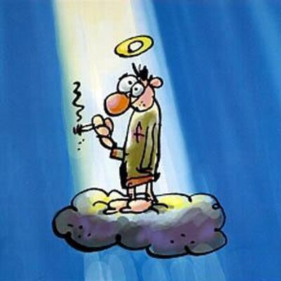 marijke van oostrum tweet media