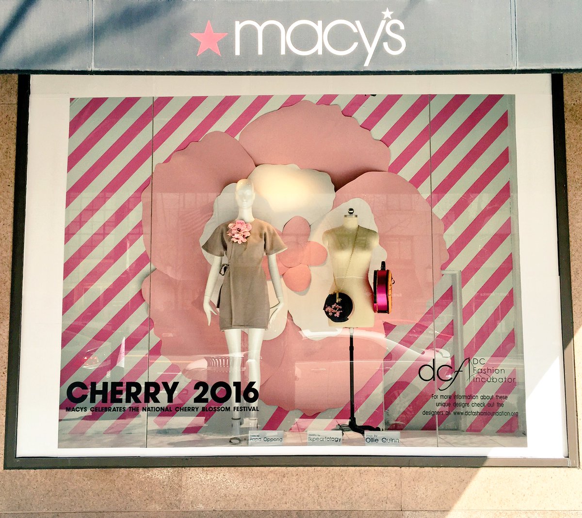 0ppong's tweet photo. πΈPapa Oppong x Macy's Cherry Blossom WindowπΈ
@Macys @DCFashionFdn Window on 13th Street is up in downtown D.C.π https://t.co/Vb7tDcuzJi