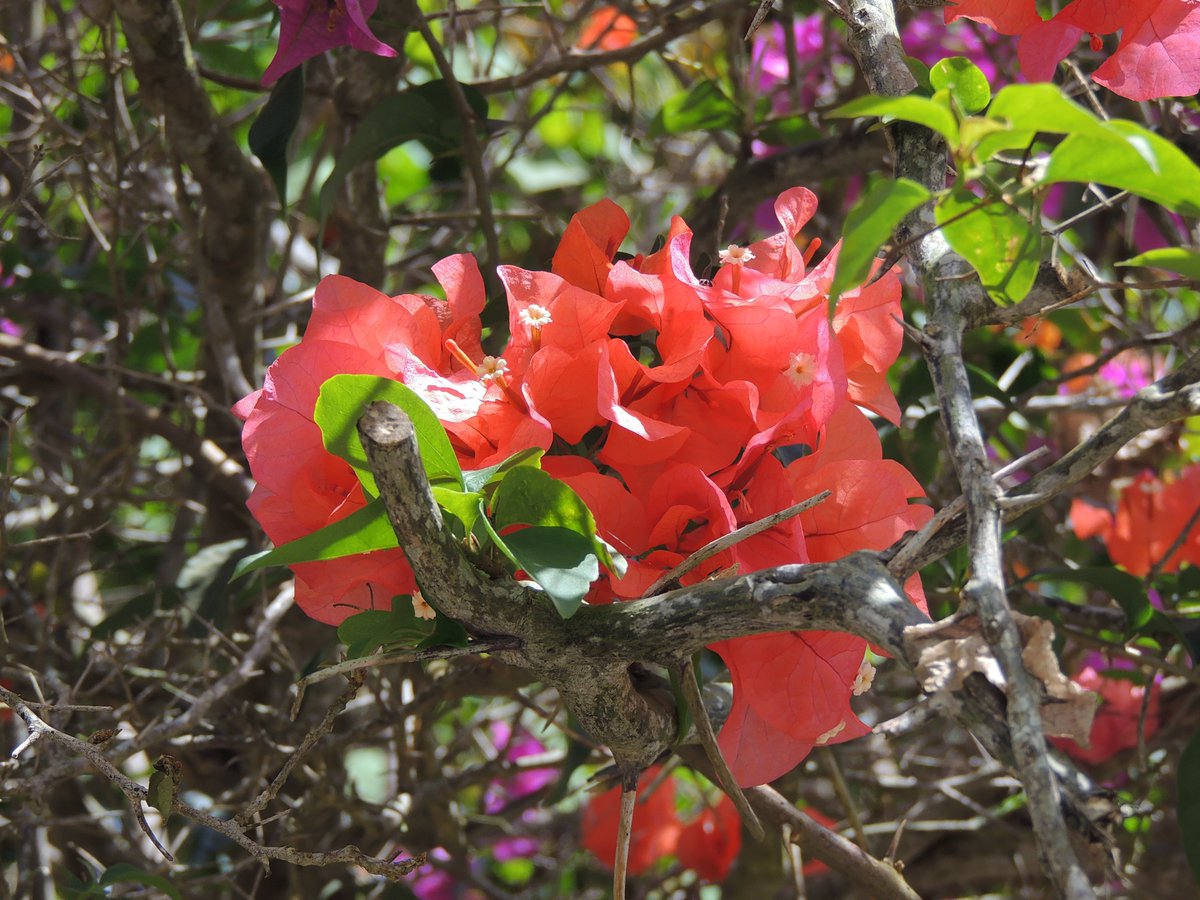 superman_86's tweet image. #O2SPhoto