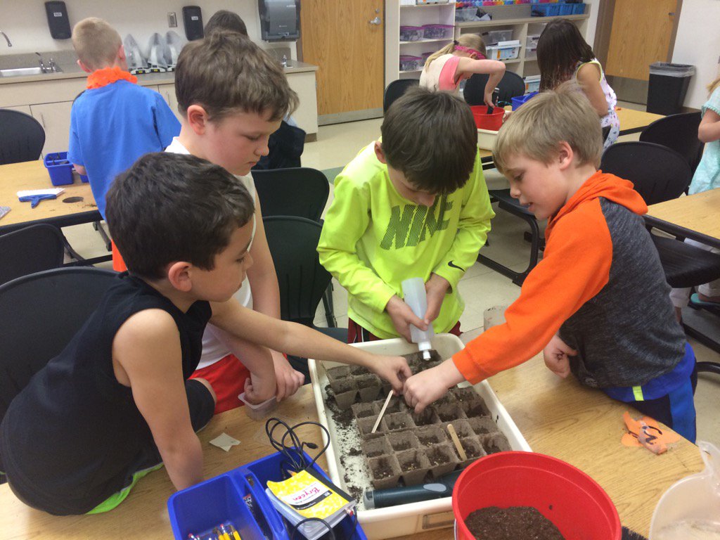 And so starts the Union Stars Garden!