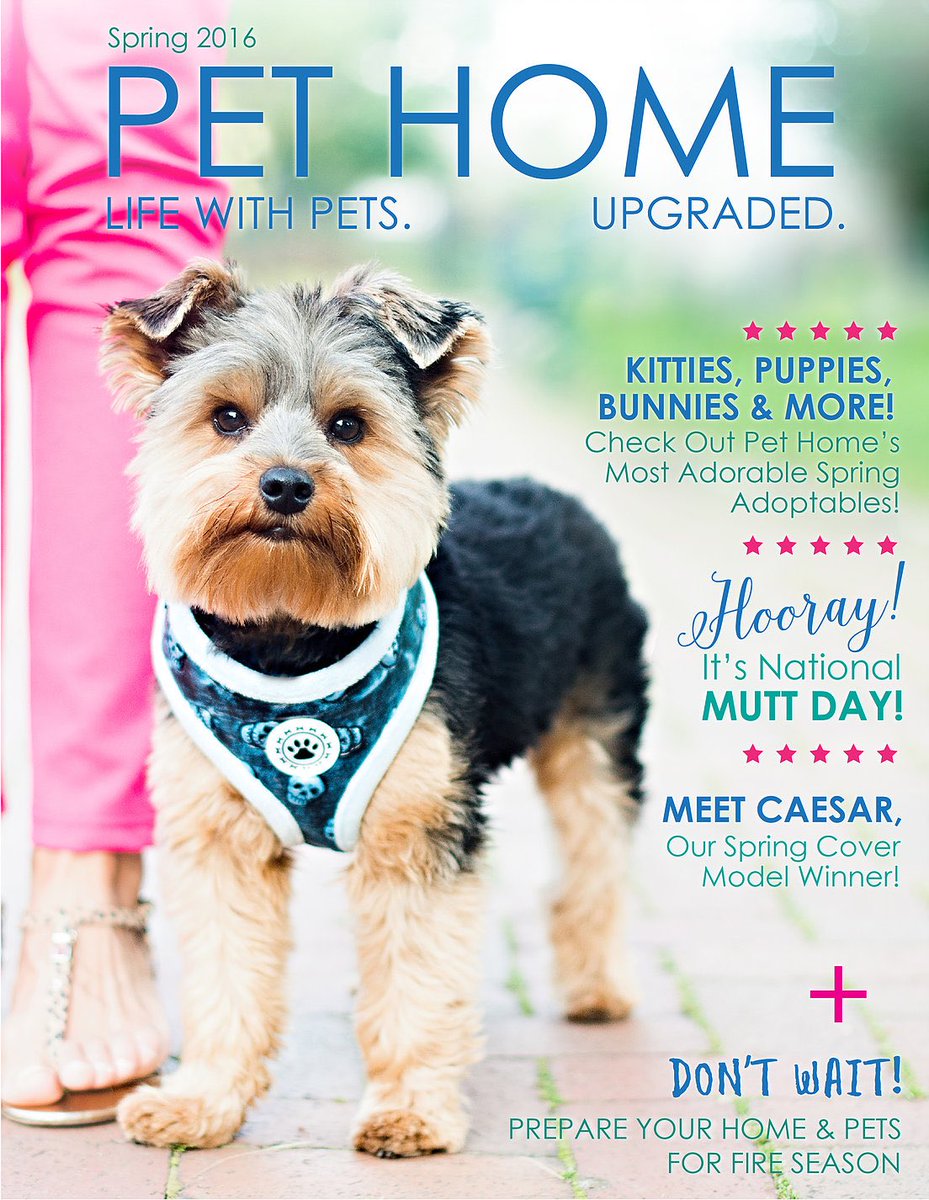 PetHomeMagazine's tweet photo. It's coming May 1st! Filled with adoptable pets! Don't miss it! #pethomemagazine #adoptdontshop #nationaldogday https://t.co/DikIeADgs7