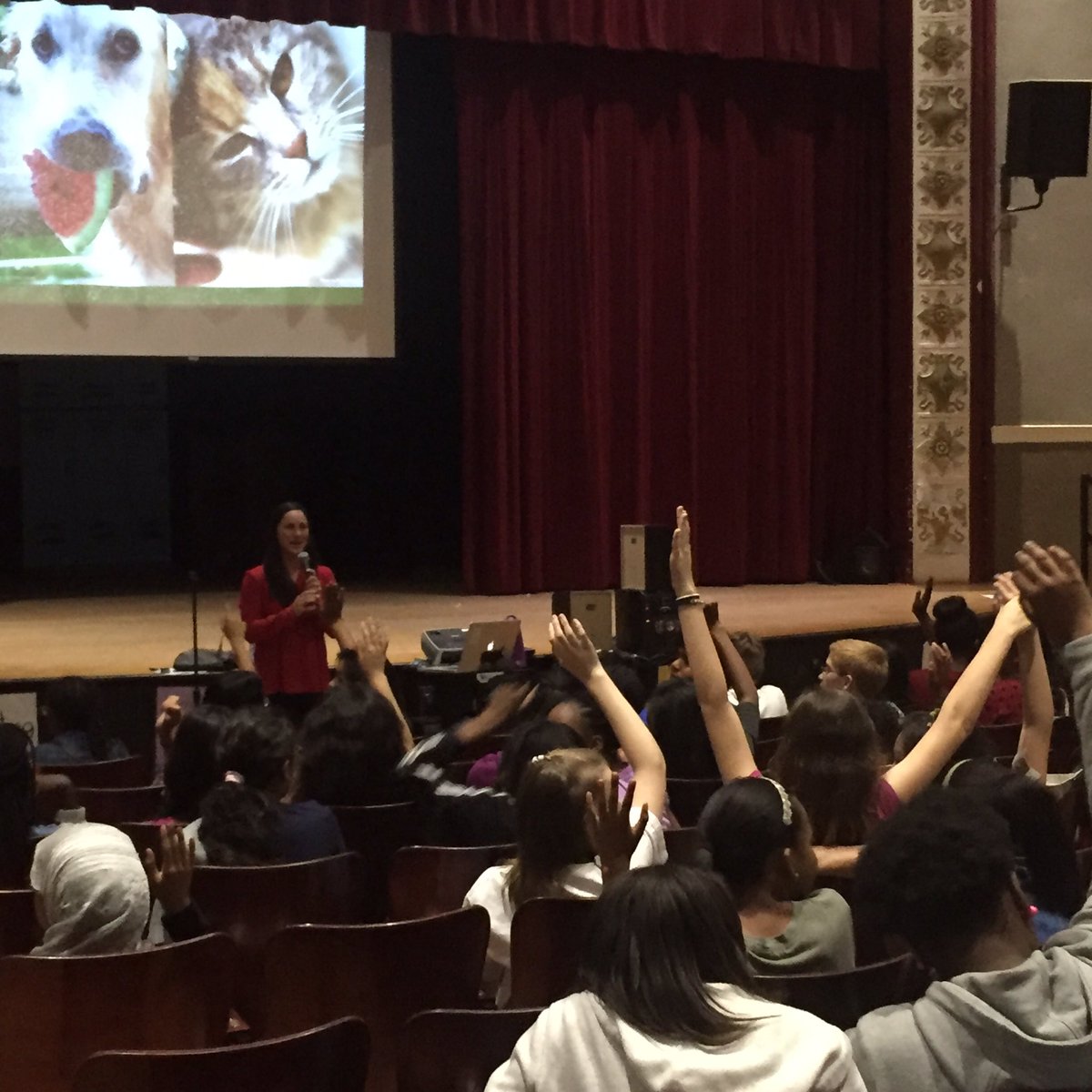 LisGurthie's tweet photo. "Chickens can count to 10" animal presentation at @PiedmontIB #communityandservice #chickenchat🐓 #guestspeaker https://t.co/52STpm6BQm