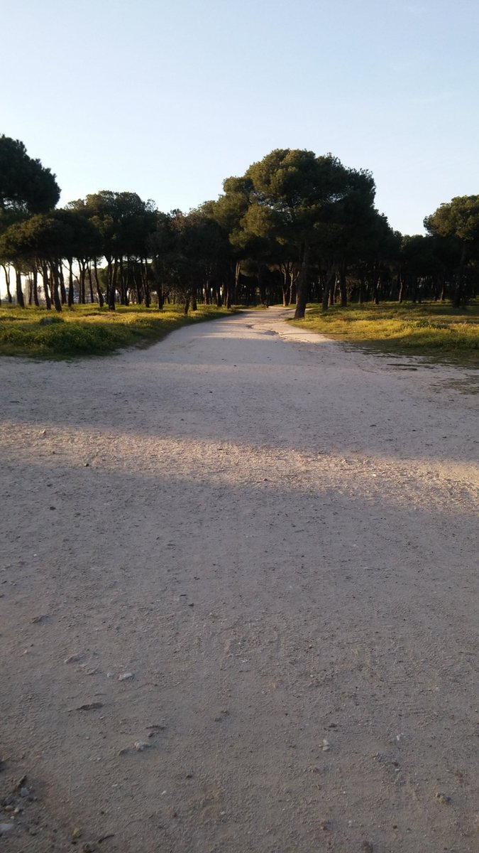 wedumf's tweet image. Tercer día de entreno, hoy he cogido el ritmo y aunque con sólo 10 kg he bajado de 40 min #Packtest #pasitoapasito