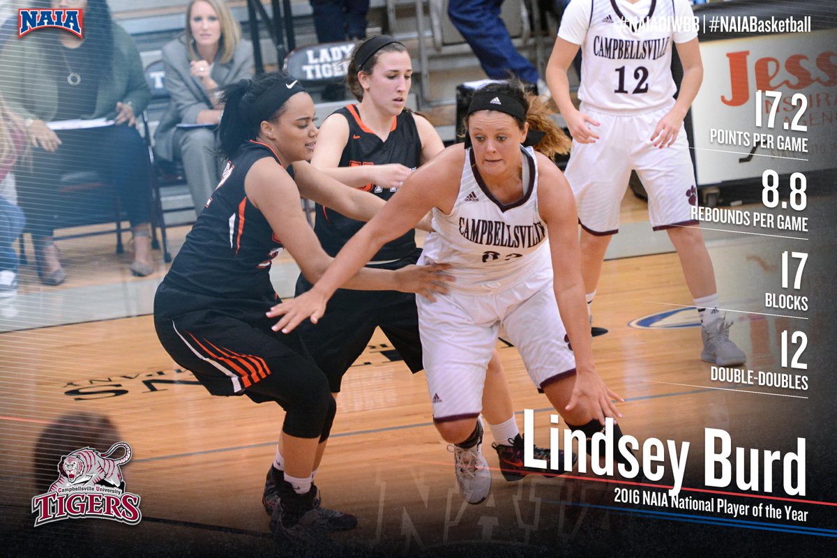 NAIA's tweet photo. .@CvilleTigers' Burd named #NAIADIWBB Player of the Year! Headlines All-America Release - https://t.co/j2mTgtHRmX https://t.co/8zVIavurPp