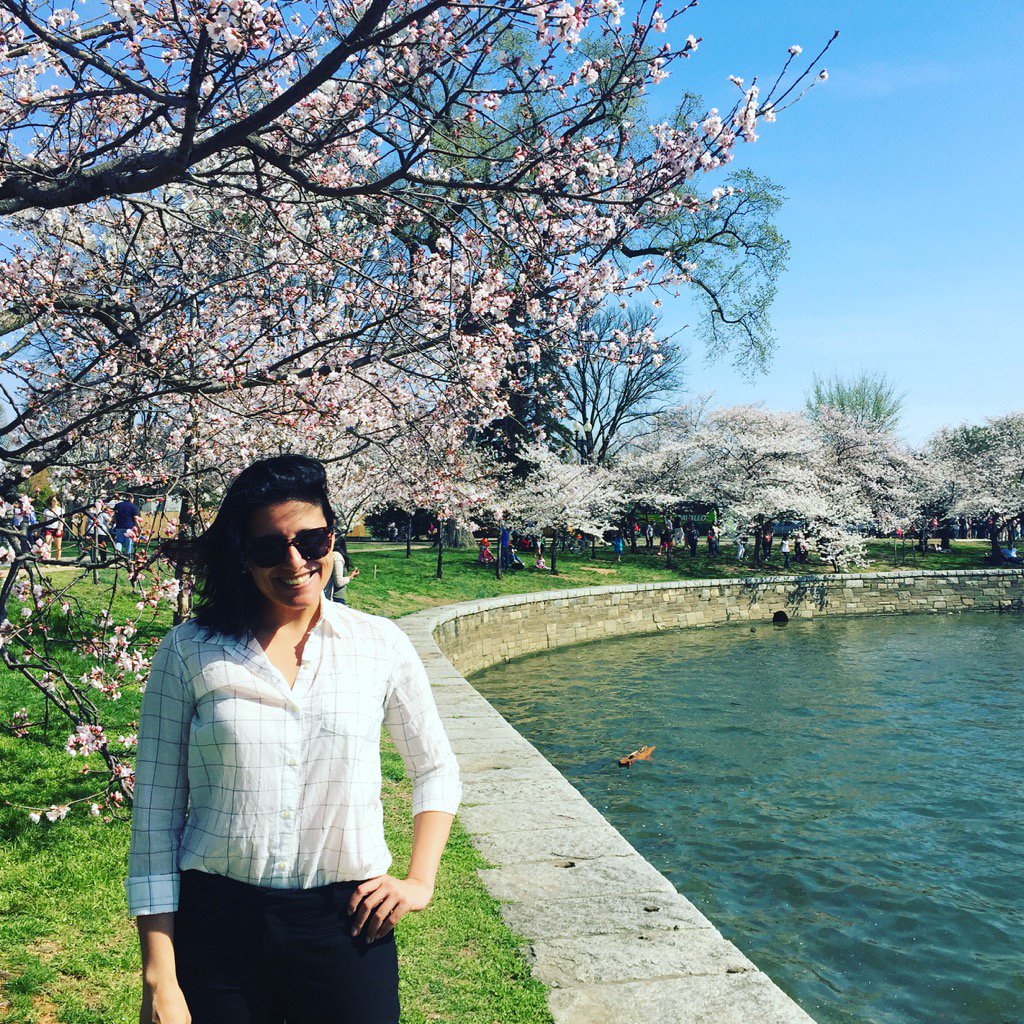 fabiana_sofia's tweet image. So our walk around the cherry blossoms took a turn for the basic #lifeinDC #cherryblossoms