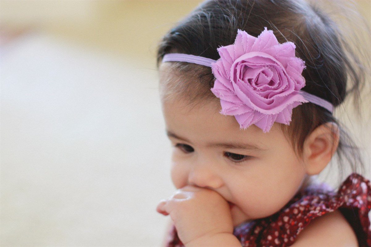 TaylorAndChloe's tweet photo. Don't miss out on our lowest prices for our beautiful Chiffon Headbands at 81% off! 
https://t.co/S2mYXWEOvc https://t.co/dFQebfMWdx
