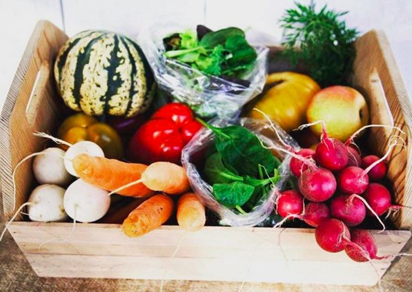 Stay tuned for our #igtakeover tomorrow at <a href="/claybottomfarm/">ClayBottomFarm</a>! instagram.com/goodofgoshen/ #goodofgoshen #goshenindiana