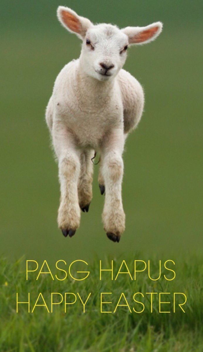 egeorge1875's tweet photo. Happy Easter to all customers &amp; friends!
Fri 25th OPEN 8am-5.30pm
Sat 26th OPEN 8am-12.00pm
Sun 27th&amp;Mon 28th CLOSED https://t.co/DGkisFNSSO