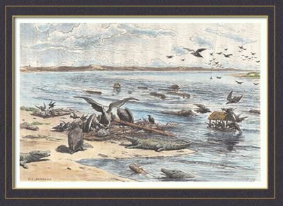 thaoworra's tweet image. Rare hand-colored engravings depicting Laos from late 1800s. Sorry for the small size but it's what could be found