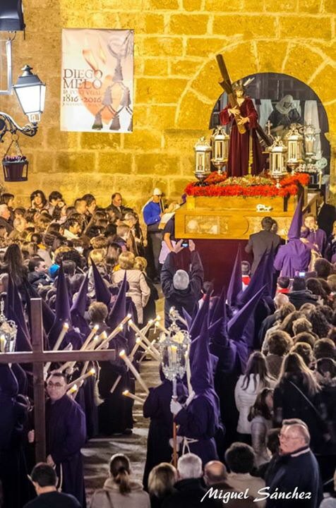 Dulce árbol donde la Vida empieza