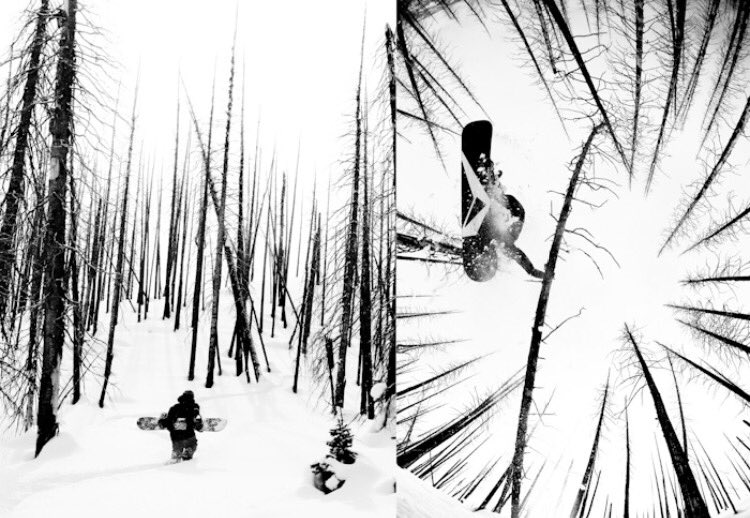 freshpowteam's tweet photo. #FreshPow Approved! ✔️
When photography turns a photo to an art peice.
🏂- Gigi Ruf 
🌎- Wyoming
📸- Vernon Deck https://t.co/EfCsdaSUsX