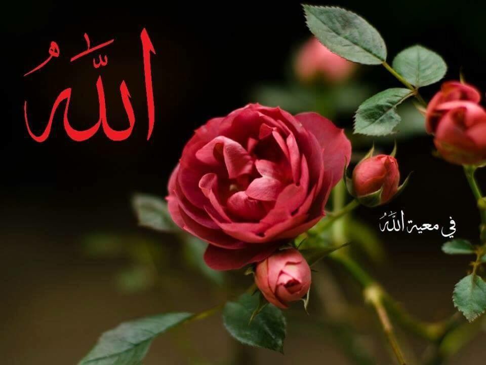صبحكم الله بالخير
صباح الخير ياعراق صباح التوكل على الله , صباح معطر بذكر محمد وآل محمد صباح الخير على أهلنا الطيبين