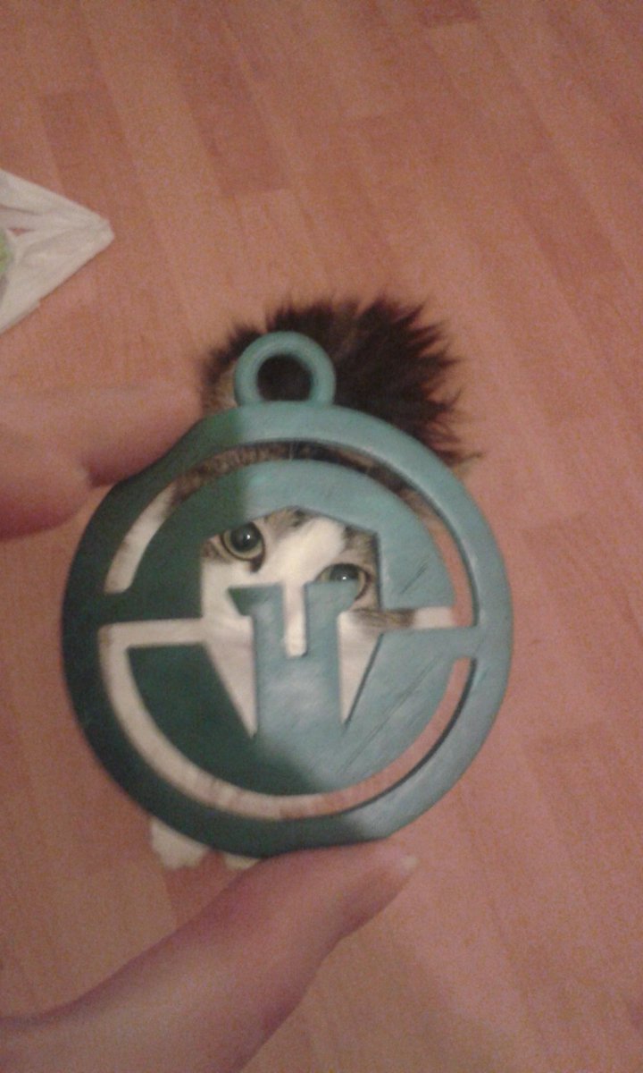 xineef88's tweet photo. Don't have money to buy Immortals "swag" so I made my own. #3dprinting #IMTLOVE https://t.co/KWMQv0rymD