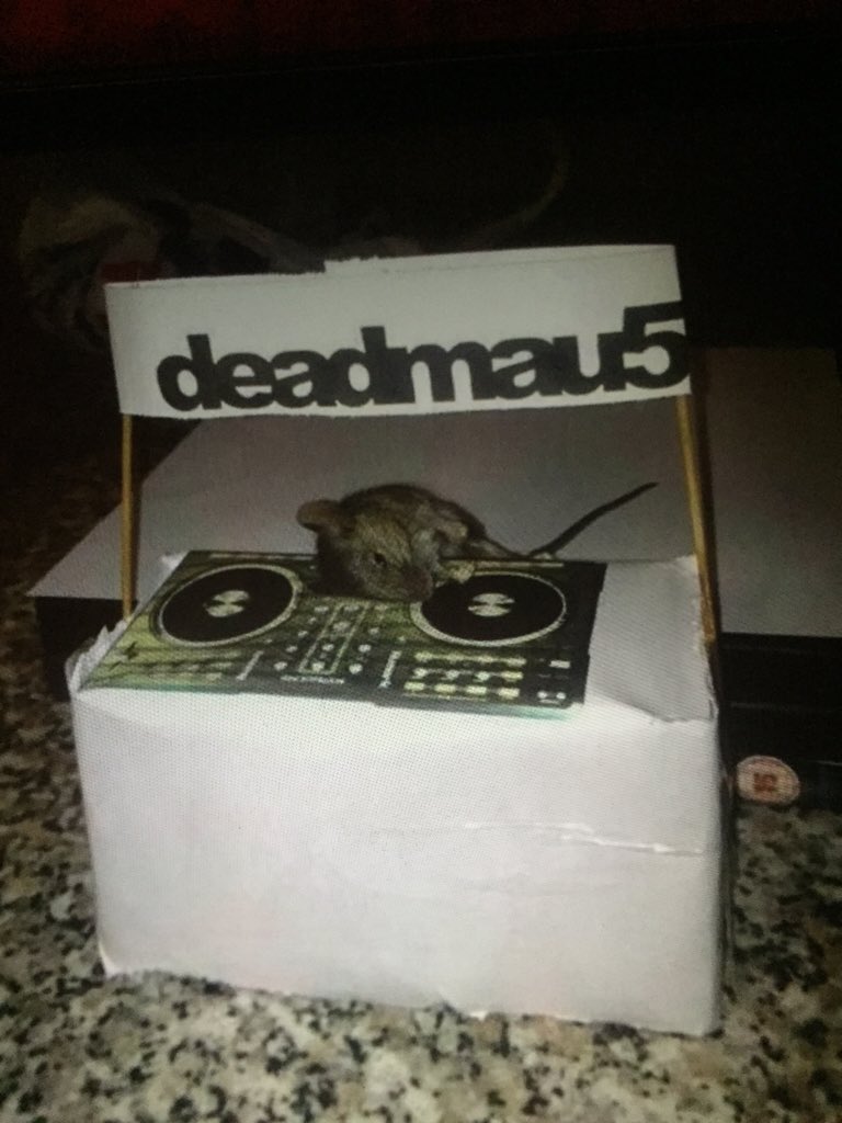 gsavage88's tweet photo. @ericprydz @deadmau5 lost my last partner doing a 3 hour set. Was tragic.. https://t.co/skcYYOVDhF