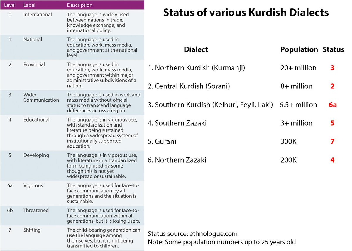 TheorePhysics's tweet image. The status of various Kurdish dialects. Some big dialects are threatened if we do not do anything!
#TwitterKurds