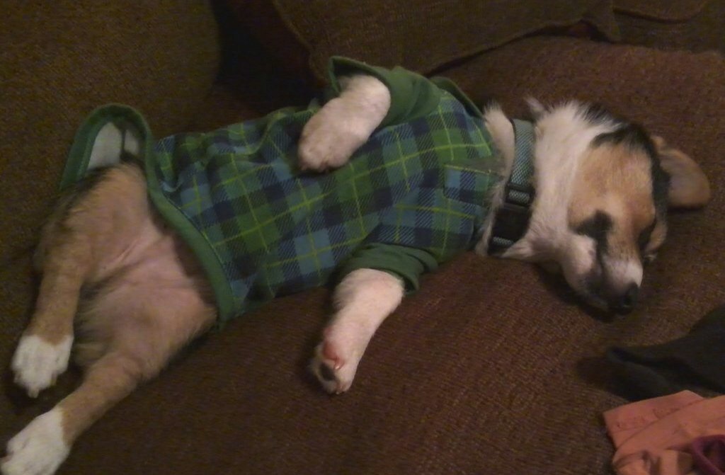 nicole 🐨 tweet media