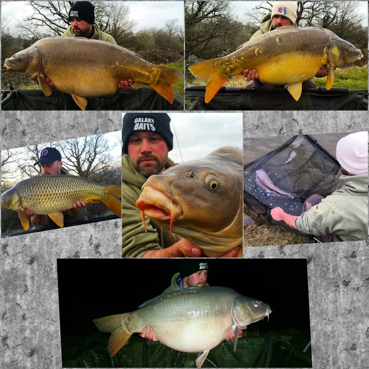 All my fish from <a href="/LeQueroyFishing/">LeQueroyFishing</a> for our <a href="/BigCarpPromo/">Big Carp Promotions</a> article in <a href="/BigCarpMag/">Rob Maylin</a>  #Fantasticfishery #FrenchFishing