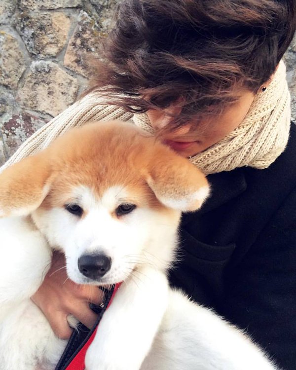 RadioDisneyMX's tweet photo. La familia de @AbrahamMateoMus tiene nuevos integrantes: #Apolo y #Khloé. ¡Qué lindos cachorros! https://t.co/4gWVo8qs4o