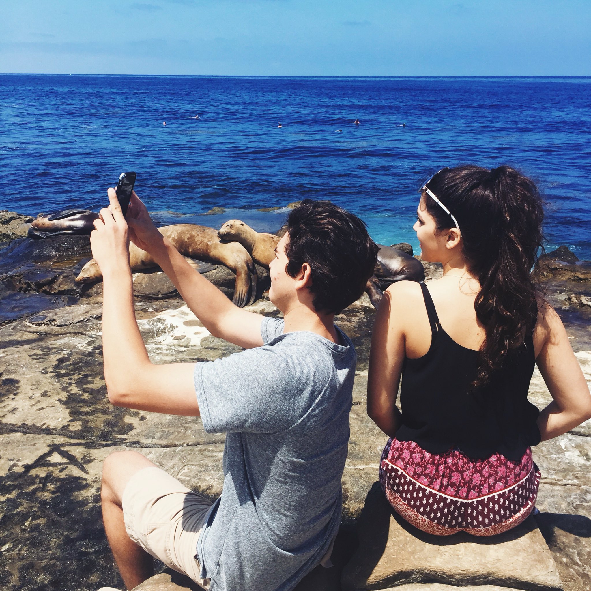 Fallon Smythe desktop Wallpapers