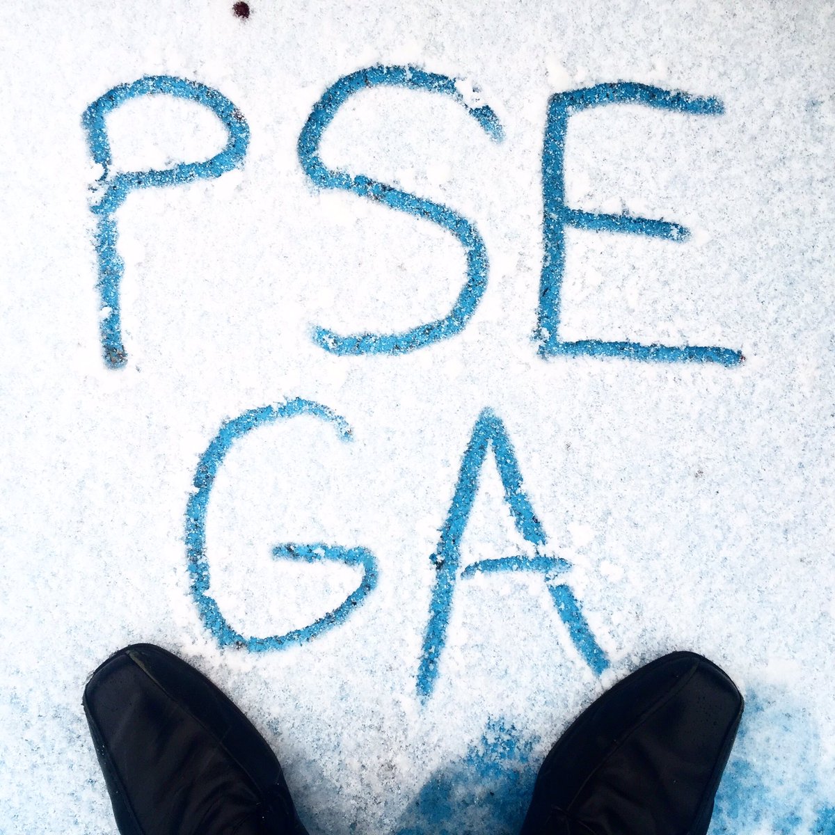 csufpse's tweet image. ❄️Gamma Alpha is loving the snow in Milwaukee❄️ #gammaalphaonice #PSECONV16 #psega #pisigmaepsilon