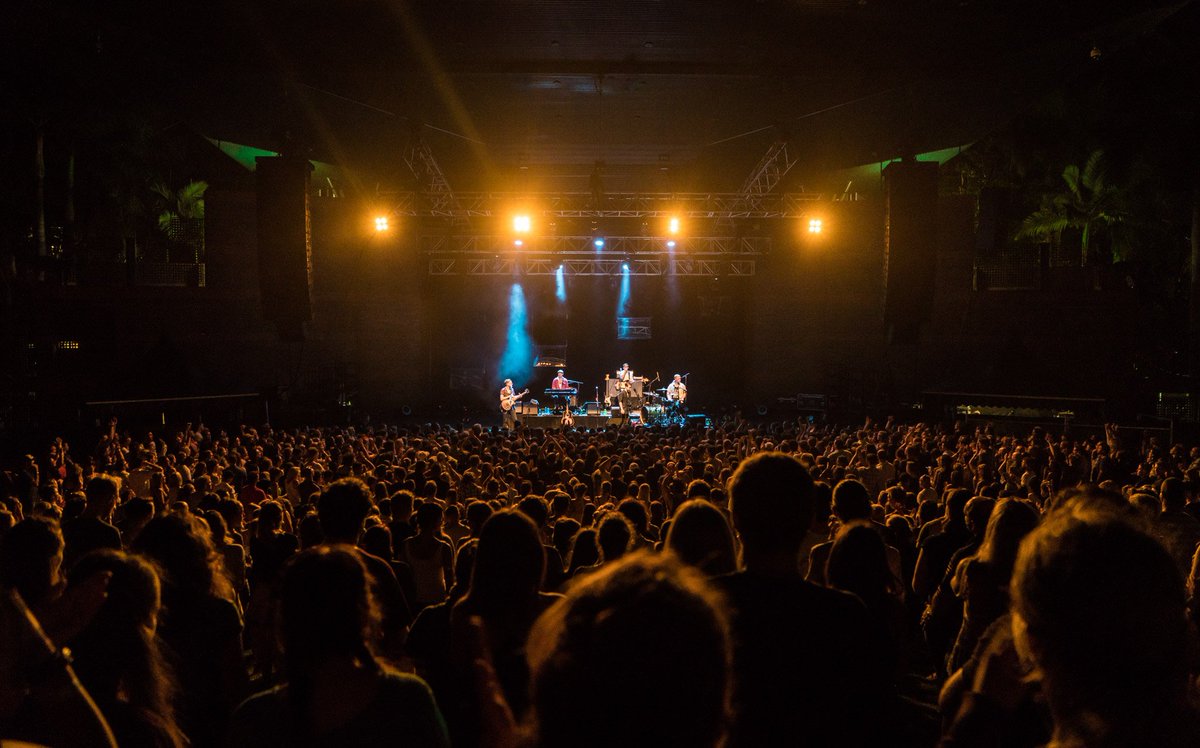 Bear Family tweet media