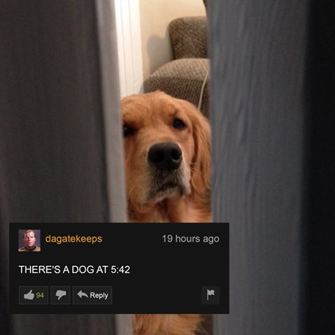 Porn Comments (@porncommnts) on Twitter photo 