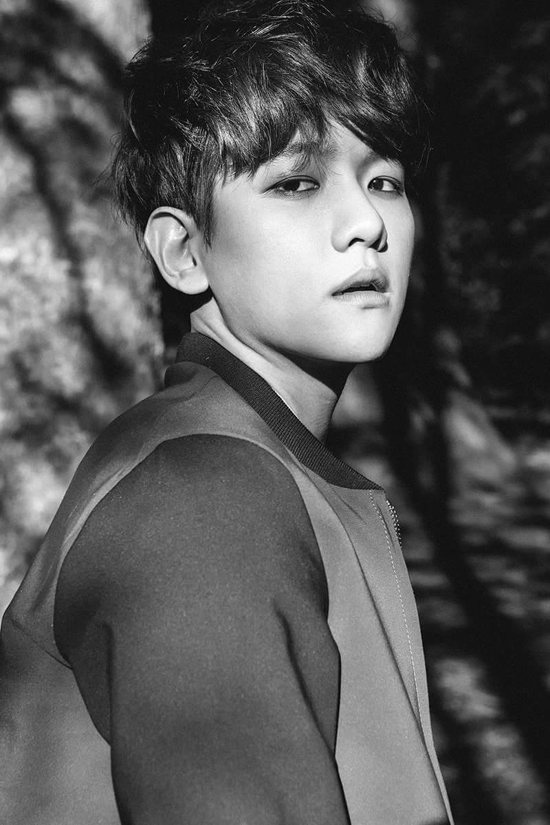 bbhpogibear's tweet photo. 150325 LYON 06:27 #BAEkintime Pathcode Teasers EXODUS #๋ฐฑํ #BAEKHYUN https://t.co/tgYzTQThYa