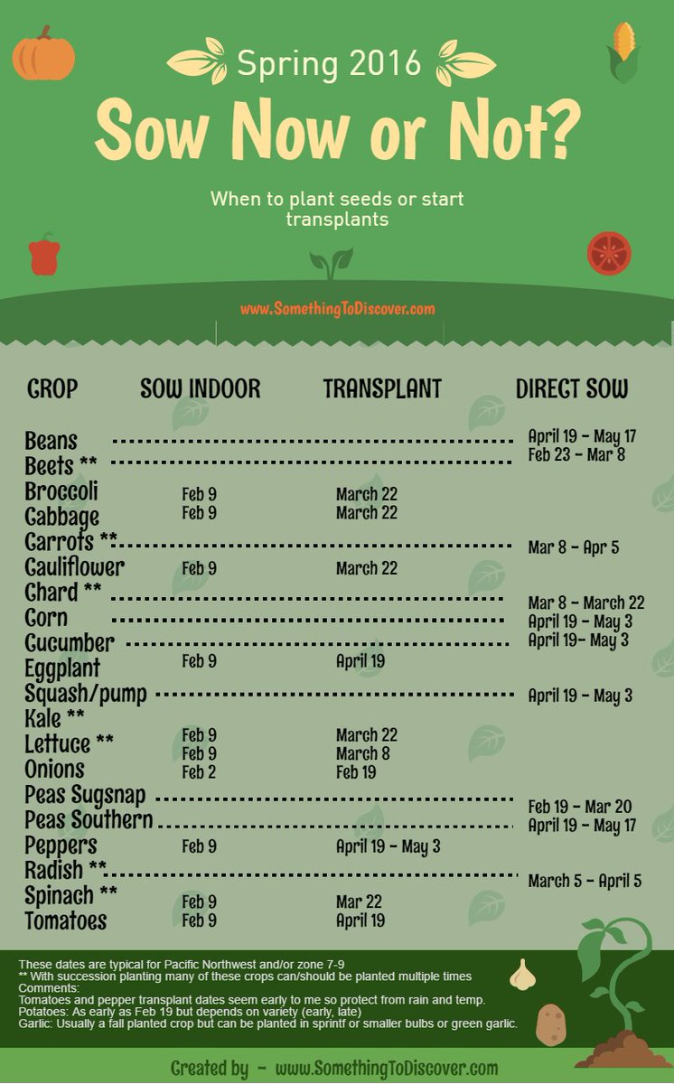 STDiscover2015's tweet photo. New one page chart to Know when to sow seeds and transplants https://t.co/KIYD8Flaoh @Gardening @vegetable https://t.co/o1uQi2ibpN