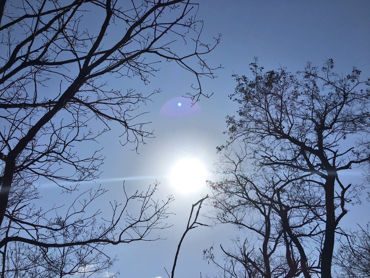 Mitramj's tweet photo. 여래는
사실대로 
말하는 이다

• 금강경 14장 • https://t.co/KW5ACn1W0N