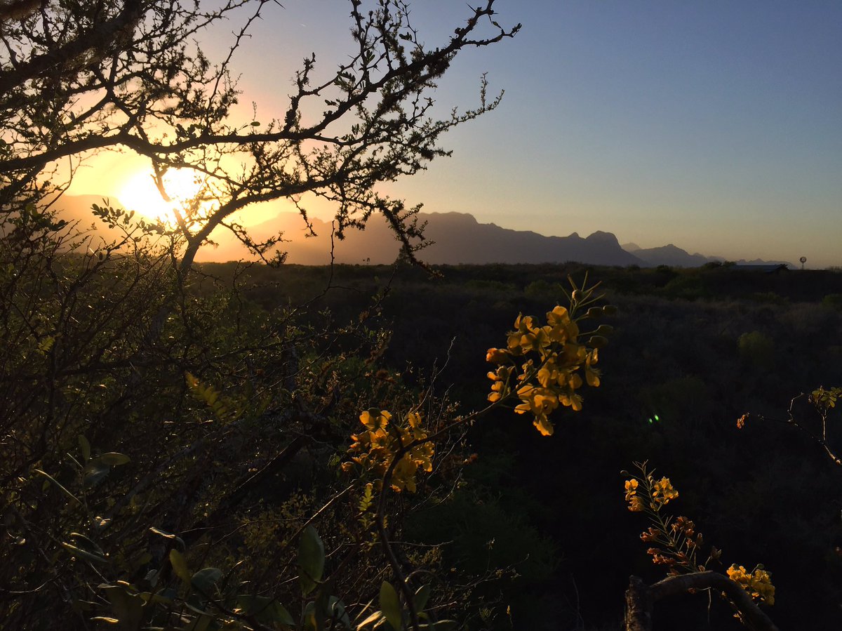 lorealaniss's tweet photo. Atardecer en Hualahuises. #hualahuises #caminata #naturaleza #méxico #tabitas @rtabitas https://t.co/z1mbpt0Tap
