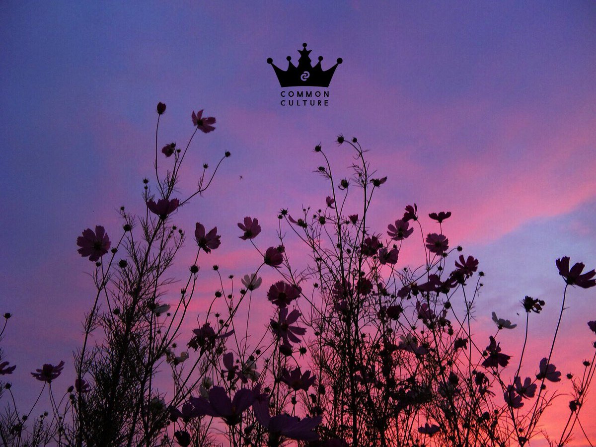 cecemancera's tweet photo. I am v obsessed with this con you have no idea β¨π #picturesforconnor #connorinspired @ConnorFranta @commonculture https://t.co/kBTs2JV8RV