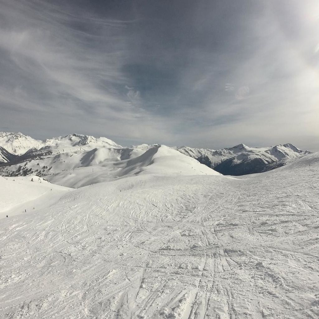 DEEP_N_STEEP's tweet photo. by babegekas, ...the view from the top of Whistler on Friday. #skiing #skiwhistler #bluebi… https://t.co/9MTlwRr967 https://t.co/1ESf08RWLn