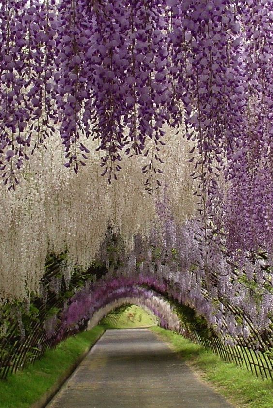FlowerStudioATX's tweet photo. Perspective is everything. https://t.co/FdR5ZhjbwM