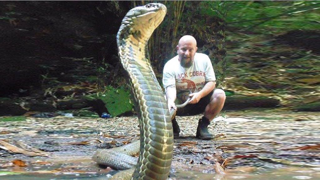 SnakeSector's tweet photo. @Souljaboyfuckme my dad was one of these big 15 footers https://t.co/VIO3ouYFnR