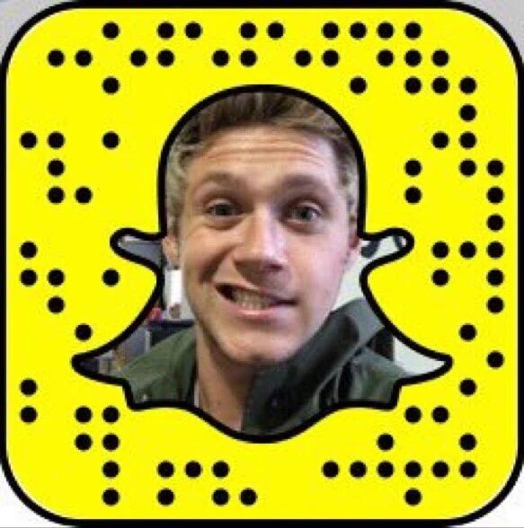 CrauCorsi's tweet photo. Niall em seu ícone do Snapchat  (niallhoran)

VAMOS VOTAR DIRECTIONERS
#Directioners #BestFanArmy #iHeartAwards https://t.co/uXrLghFEzD