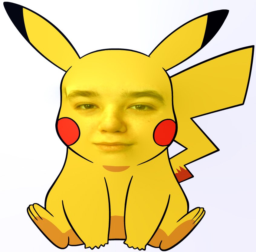 deheerdejong's tweet photo. @NFKRZAlt when a pokeman is too cute to throw ur ballz at https://t.co/Wg2eIvhMVQ