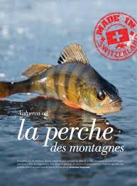Valais_Gourmand's tweet photo. #Valperca SA production de filets de #perches à Raron. 

Eglifilets vom Quellwasser des #Lötschberg. 

027 935 80 80 https://t.co/oAUJGkydSP