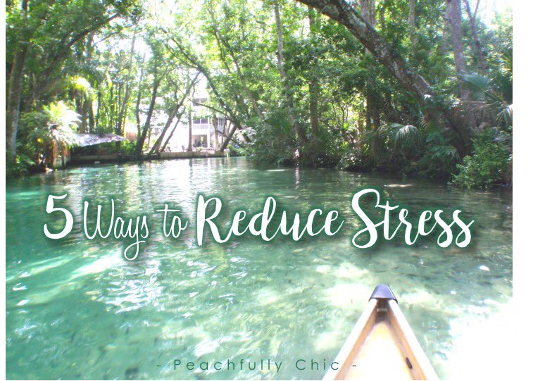 AllisonCawley's tweet photo. 5 Tips to Beat Everyday Stress (you can start right away!) https://t.co/lBa4VUNTdV #StressedOut #relax #zen #tips https://t.co/llcztS1E8Q