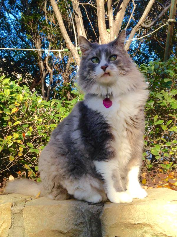 8_Semesters's tweet photo. when someone I don't like tries talking to me https://t.co/Z5wZFv9Ku0