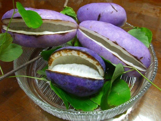 くだものの豆知識 Kudamono Mame Twitter くだものの豆知識 Kudamono Mame Twitter