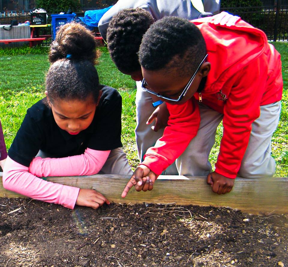 LangSTEMPrincip's tweet photo. @LangleySTEM Scholars observe worms and invertebrates in the soil of our garden boxes.  #livingclassroom #DCPSRising https://t.co/KnCHlVs8SI