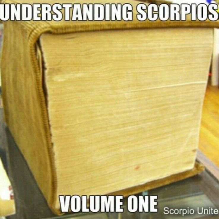ScorpioMystique's tweet photo. ♏️😂🦂 https://t.co/ZtAgaNCUxK