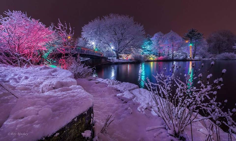 mrhappy069 tweet media