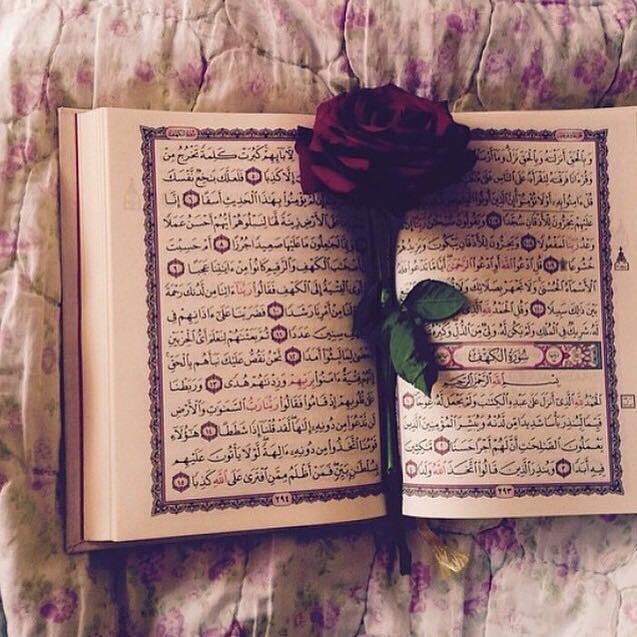 MM_1948_MM's tweet photo. ﴿ فأرَدْنا أن يُبْدِلَهُما ربُّهما خيرًا منه ﴾
"ليس كل مانفقده يعد خسارة 
قد يريد الله تبديل النعم بخير منها"
#الكهف https://t.co/odPmajcXbZ