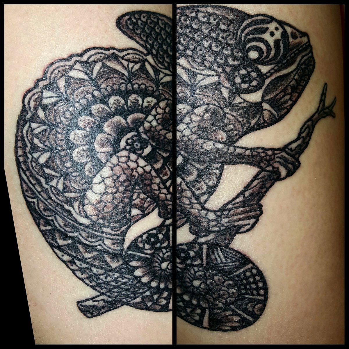 TherealRisner's tweet photo. #bassnectar #GregatVividink https://t.co/gVH6kpNRXd