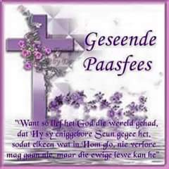 shirleypanaino2's tweet image. 