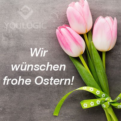 You Logic wünscht frohe Ostern!!
