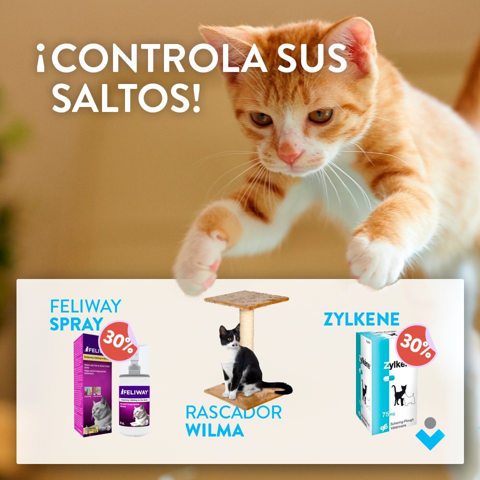 vetzona's tweet photo. Enséñale a tu gato las áreas prohibidas de la casa para que no salte. ¡Feliz fin de semana! #consejovetzona https://t.co/SRPVYBKsAk